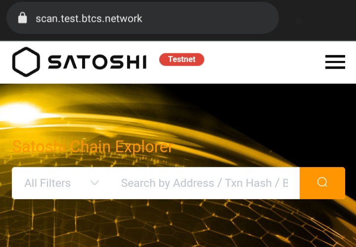 BTCs-testnet-explorer